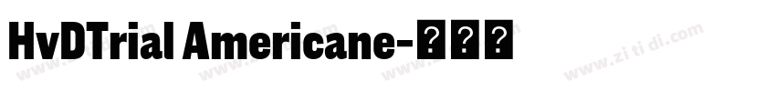 HvDTrial Americane字体转换
